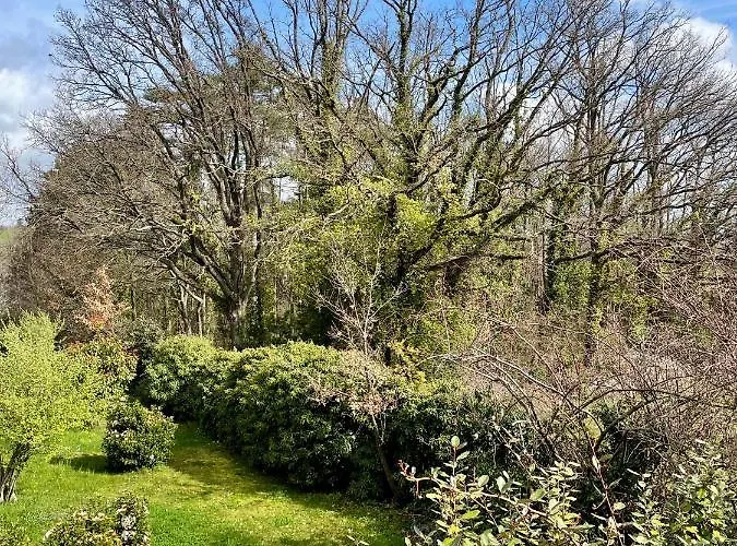 Sauna 4* Ville-sur-Jarnioux